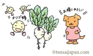 オリゴ糖・ミネラル豊富なてんさい糖